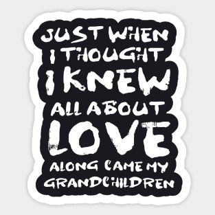 Just When I Thought I Knew All About Love Along Came My Grandchildern Daughter Sticker